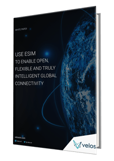 eSIM Profile White Paper Cover-1